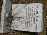 image of grave number 734494